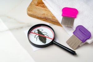 Anti lice combs and towel on white background