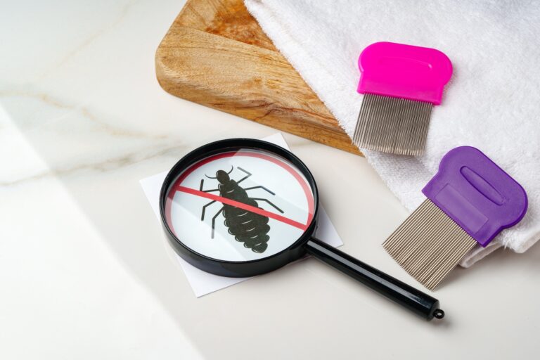 Anti lice combs and towel on white background